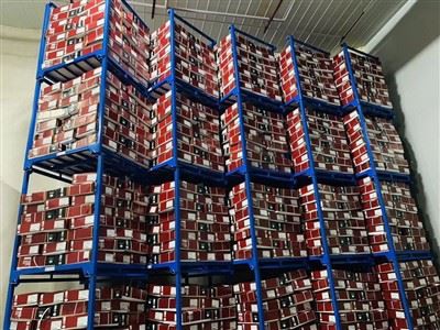 How To Maintain The Integrity Of Pallet Racking in Cold Storage How To Maintain The Integrity Of Pallet Racking in Cold Storage